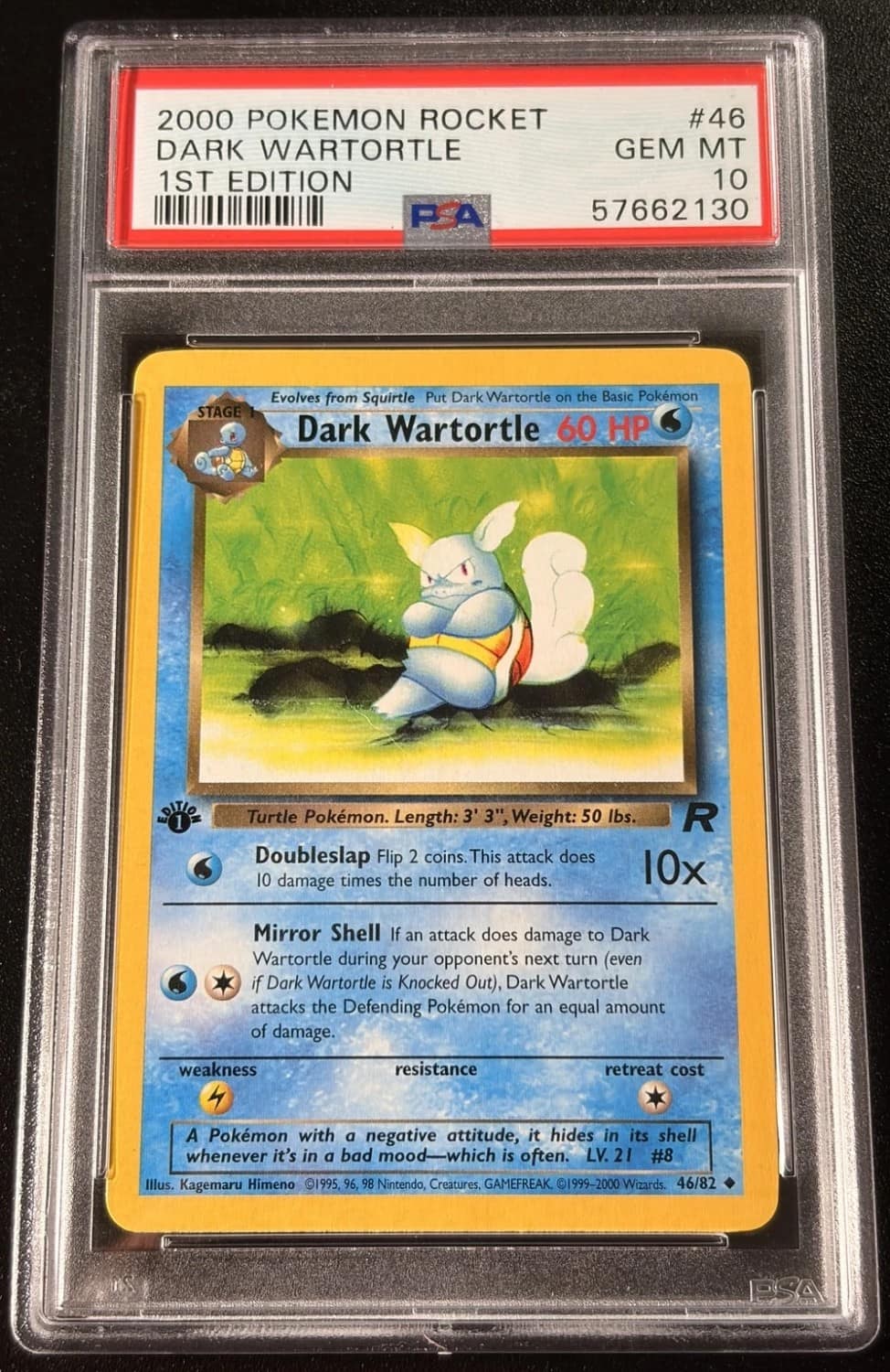 Dark Wartortle
