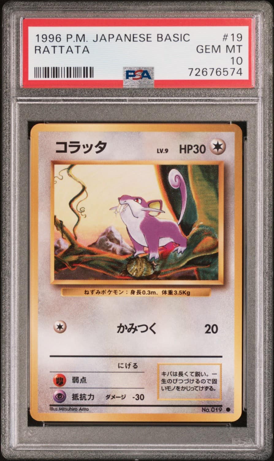 Rattata