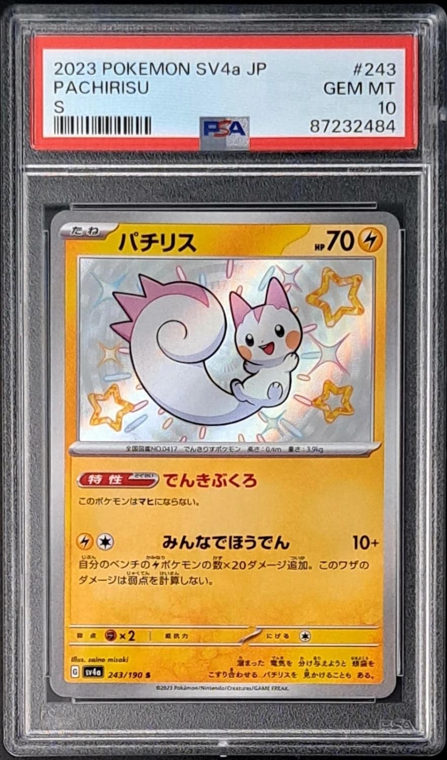 Pachirisu