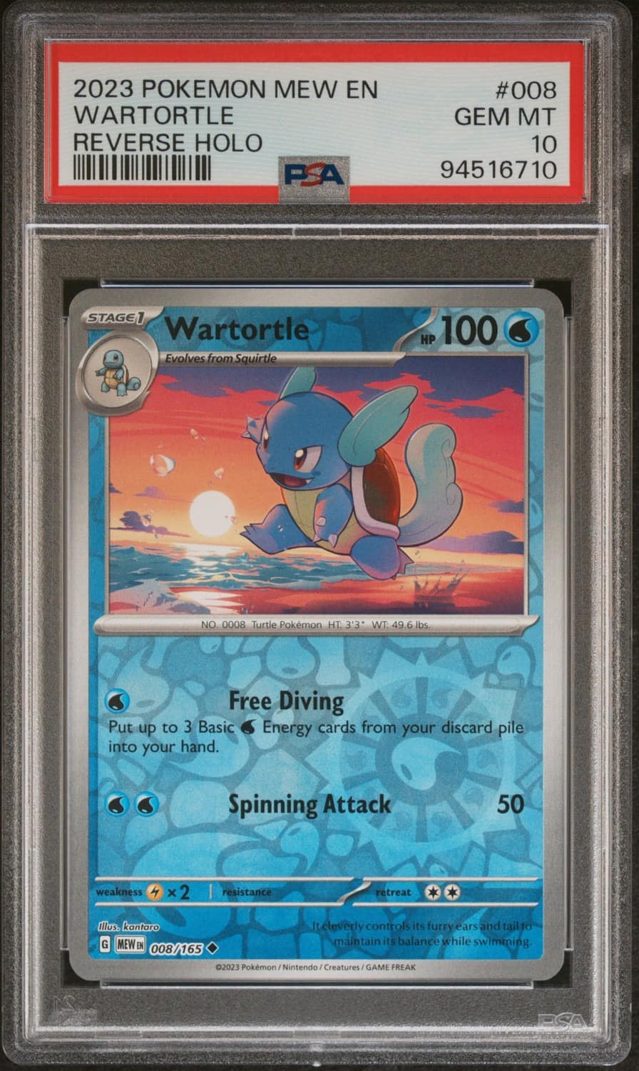 Wartortle