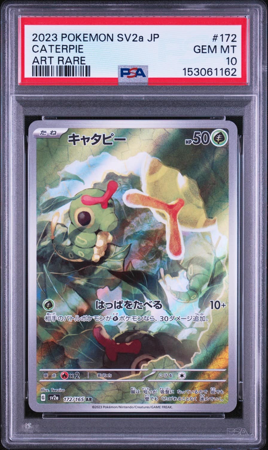 Caterpie