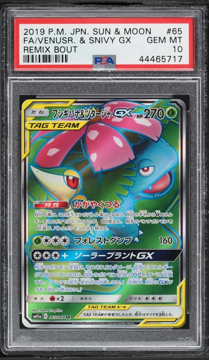 Venusaur & Snivy Gx