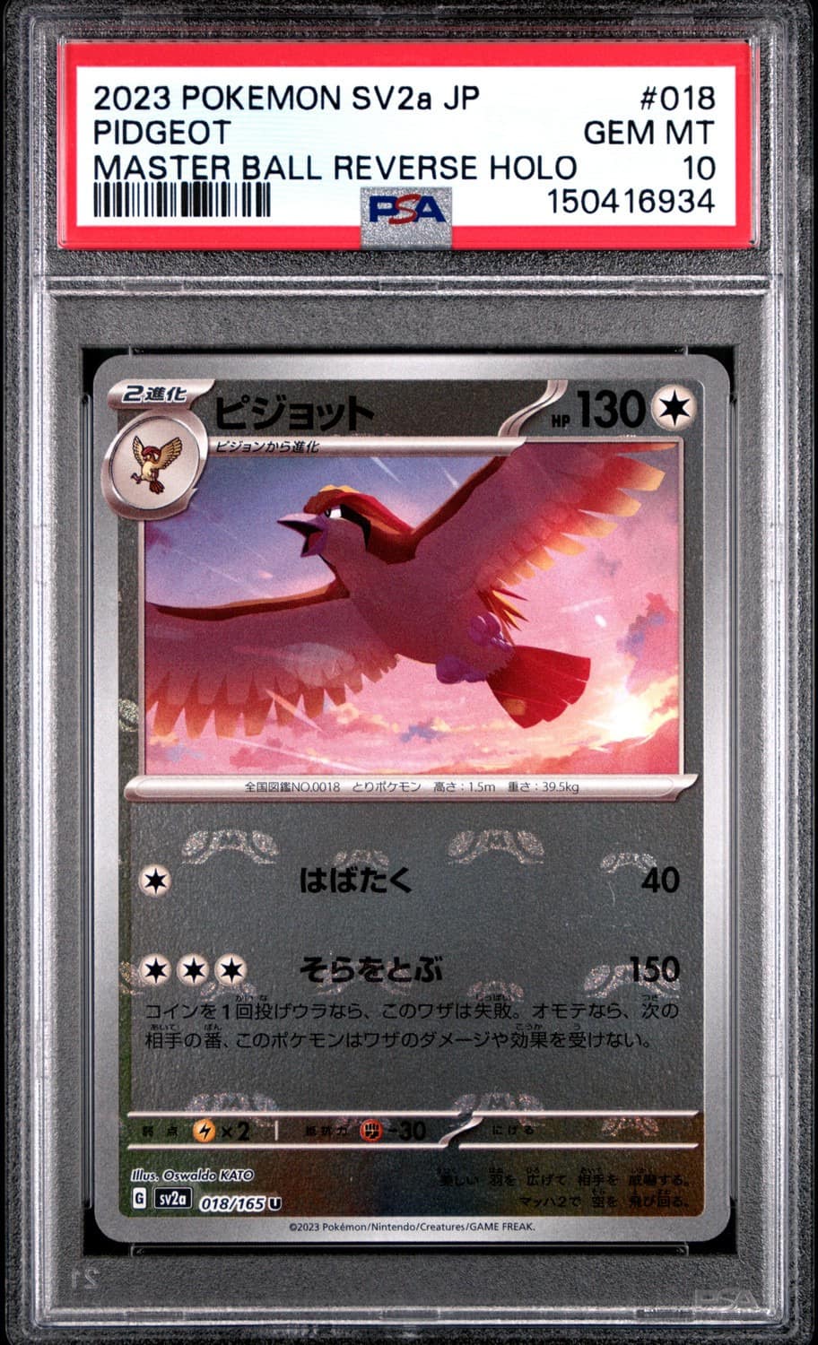 Pidgeot