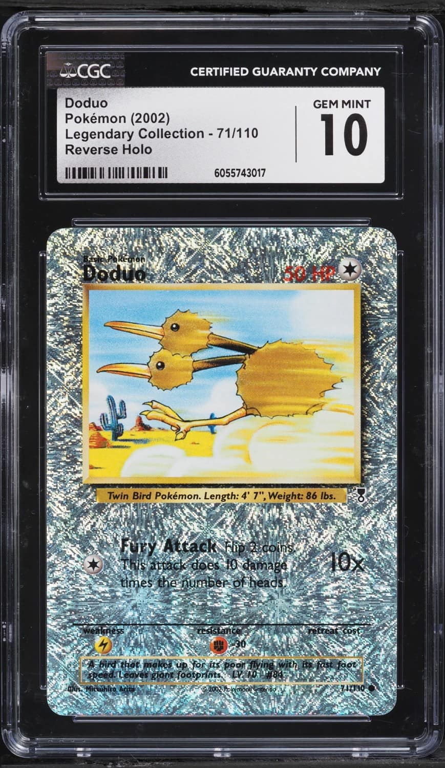Doduo