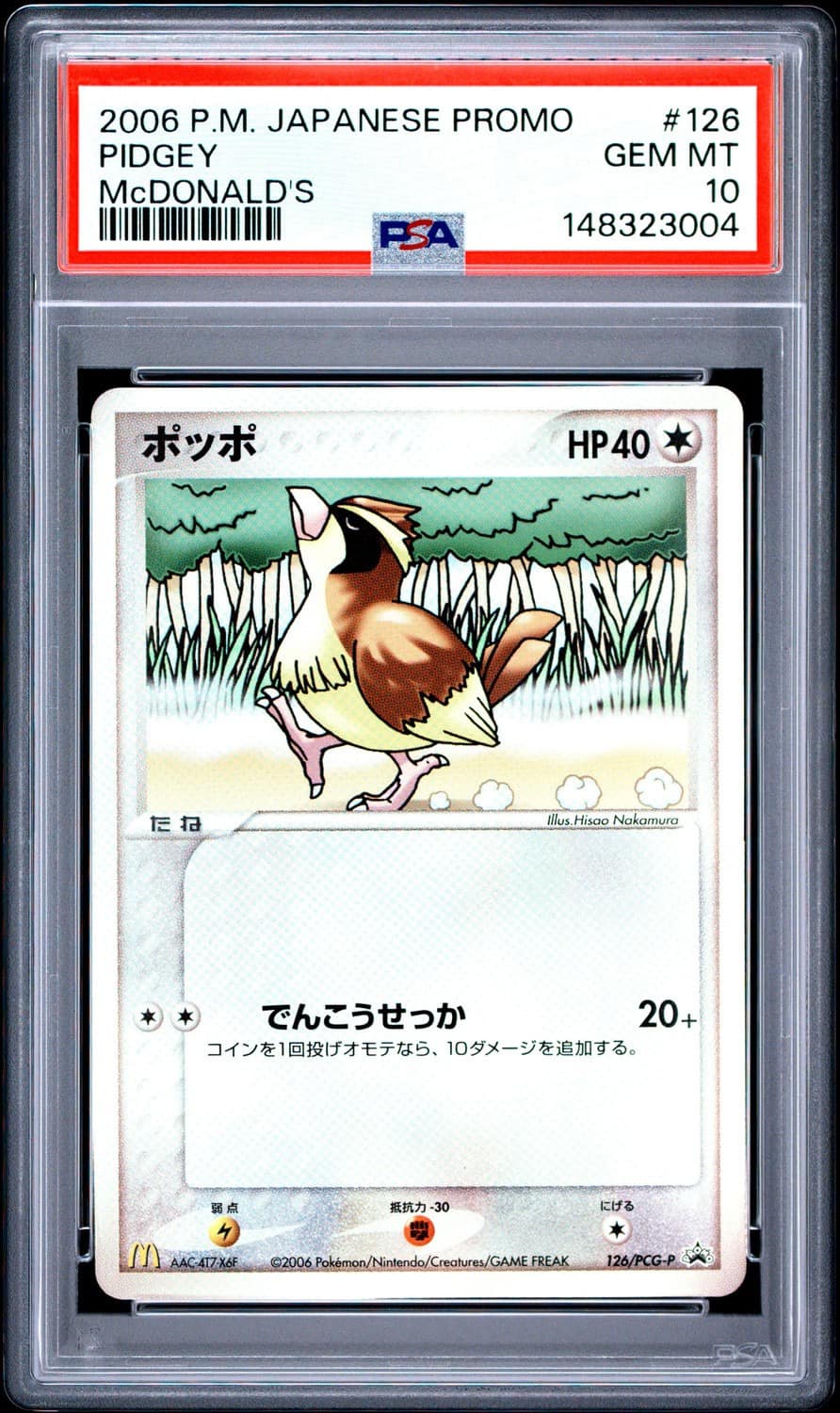 Pidgey