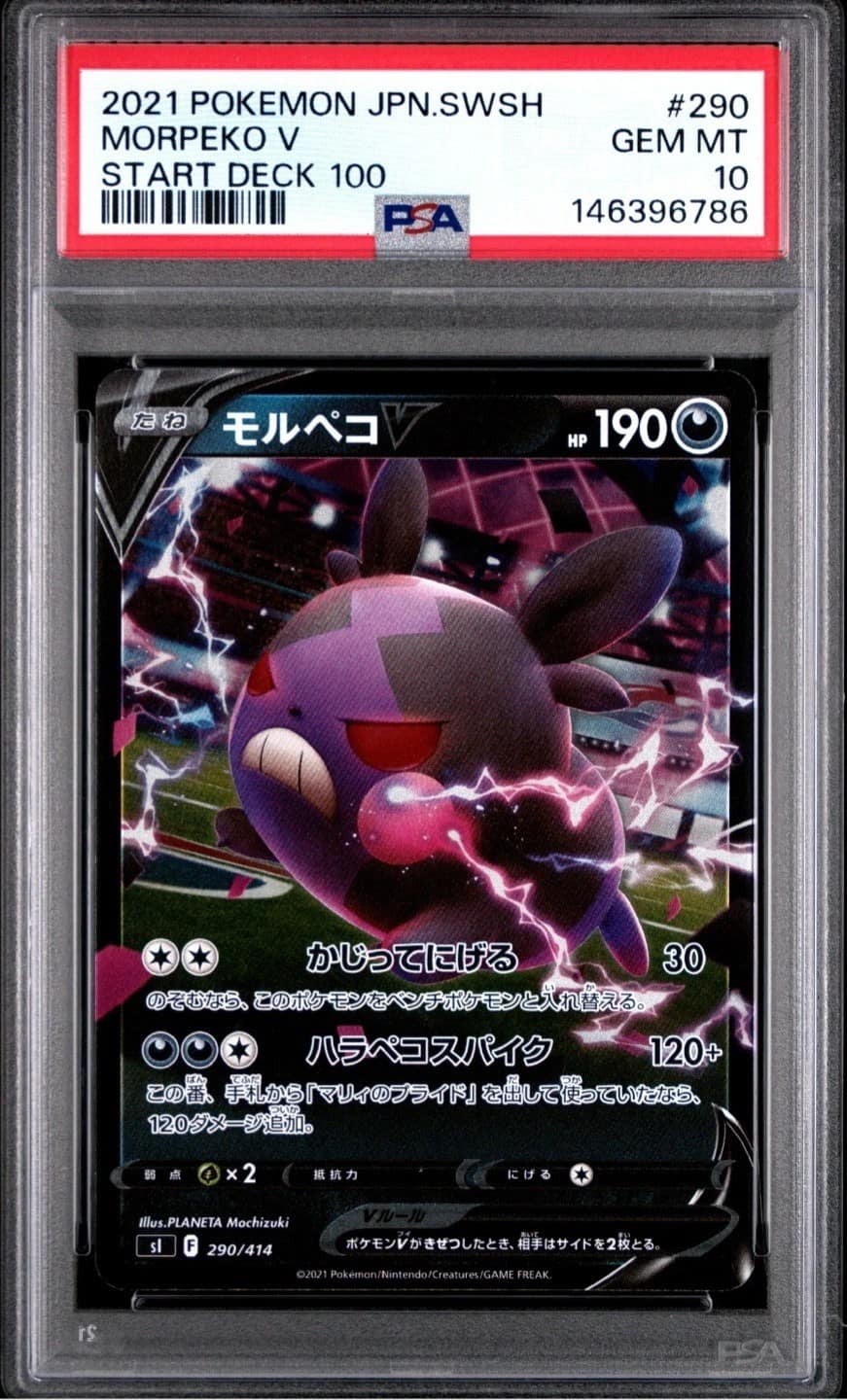 Morpeko V