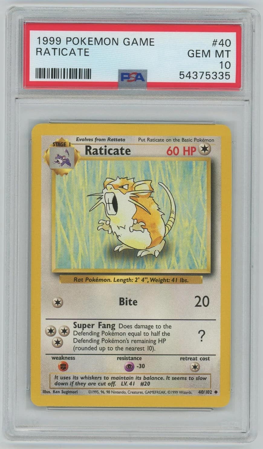 Raticate
