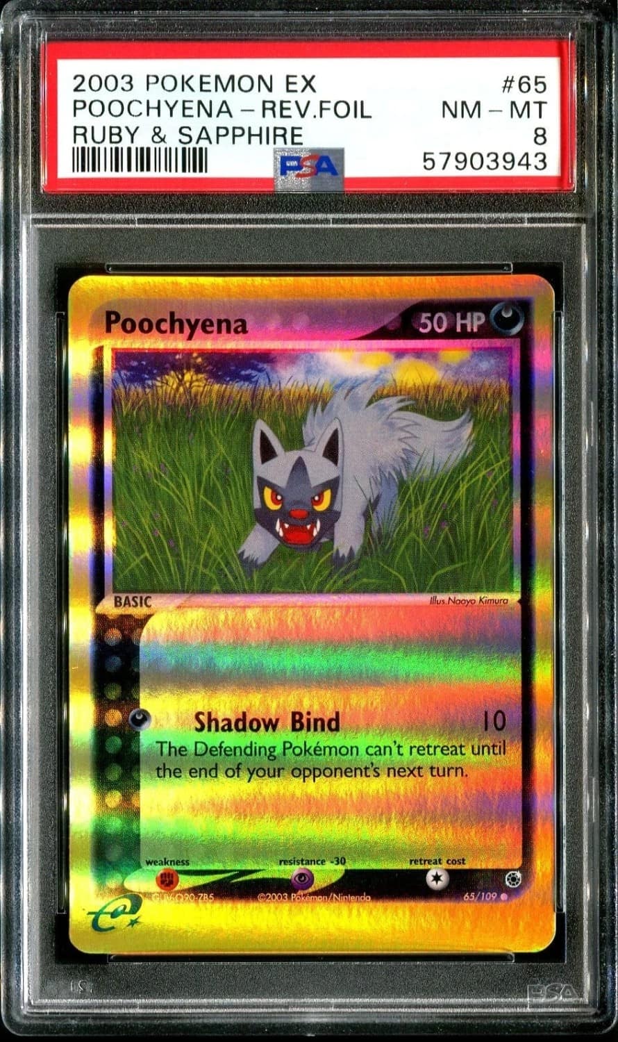 Poochyena
