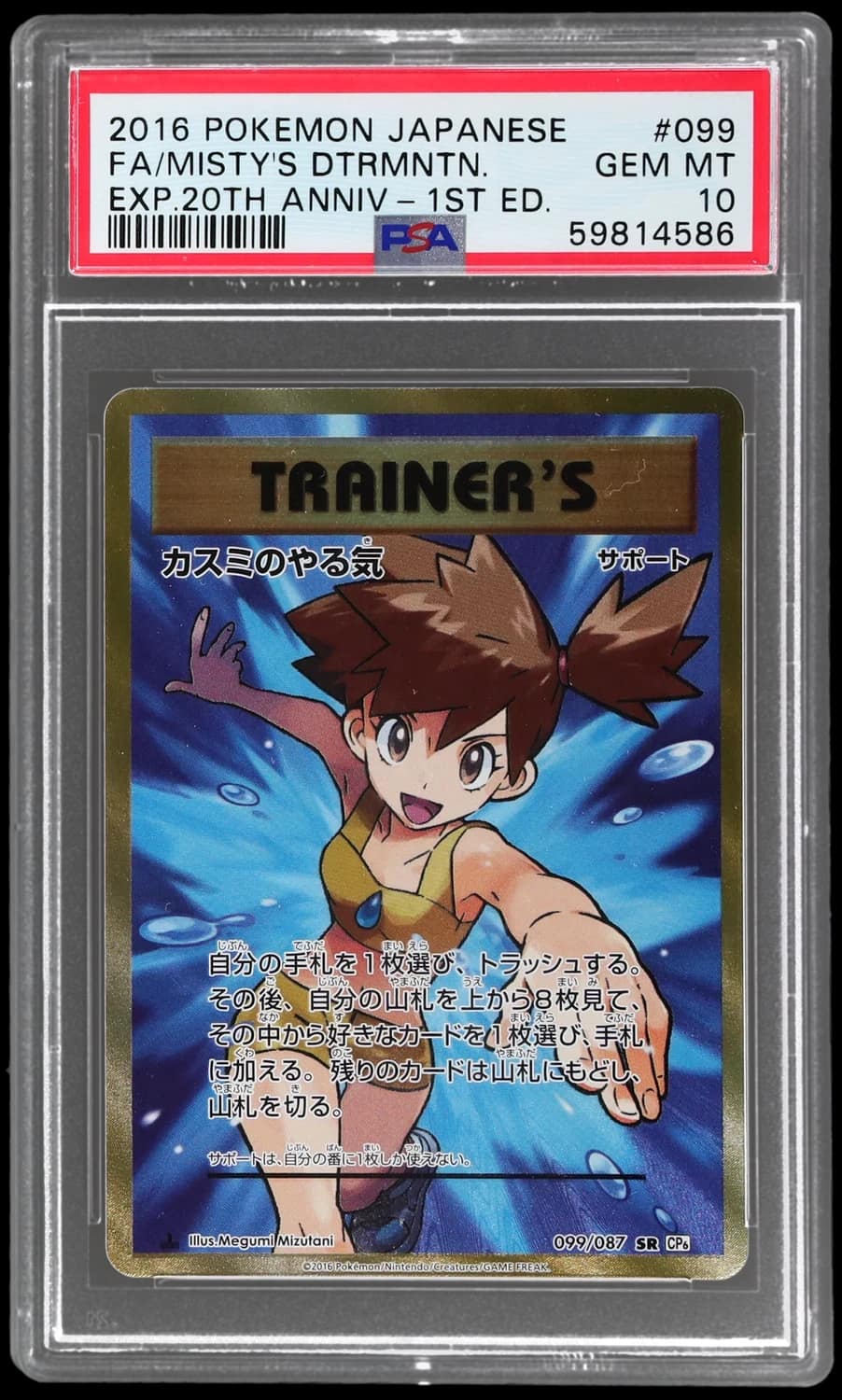 Misty'S Determination