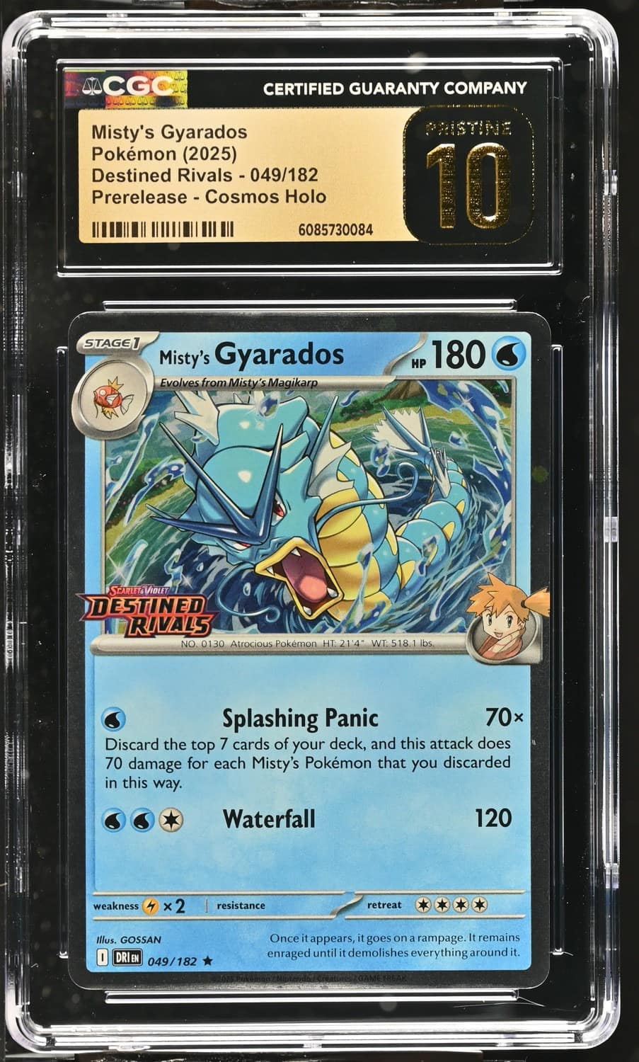 Misty'S Gyarados