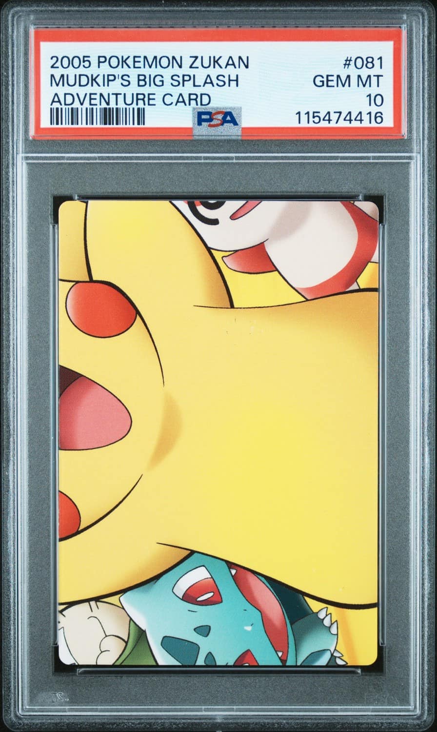 Mudkip'S Big Splash