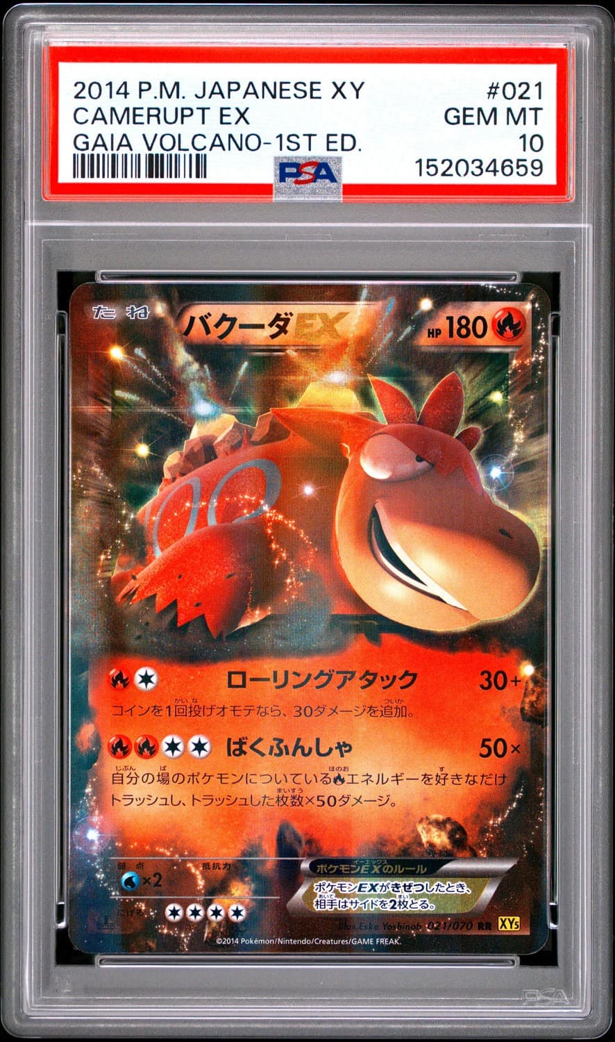 Camerupt Ex