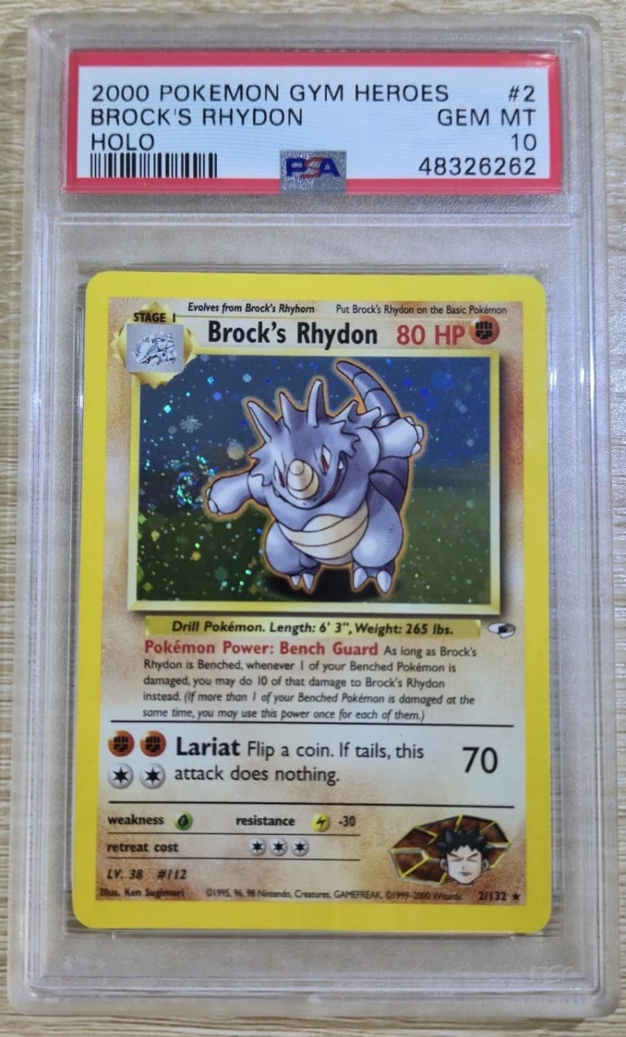 Brock'S Rhydon