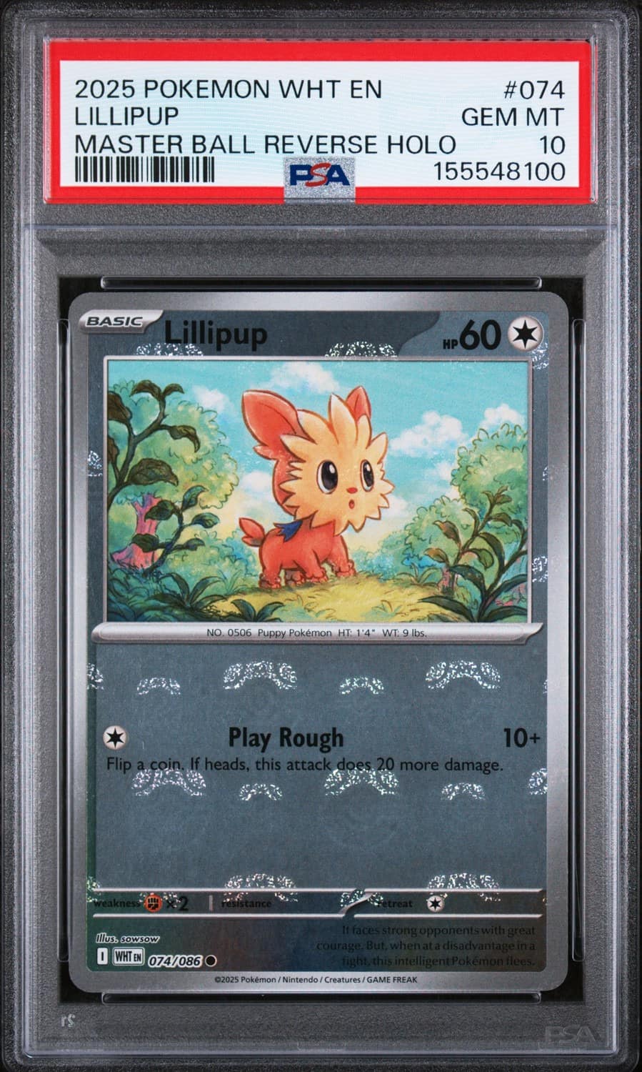 Lillipup