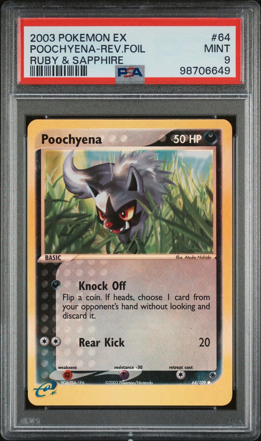 Poochyena