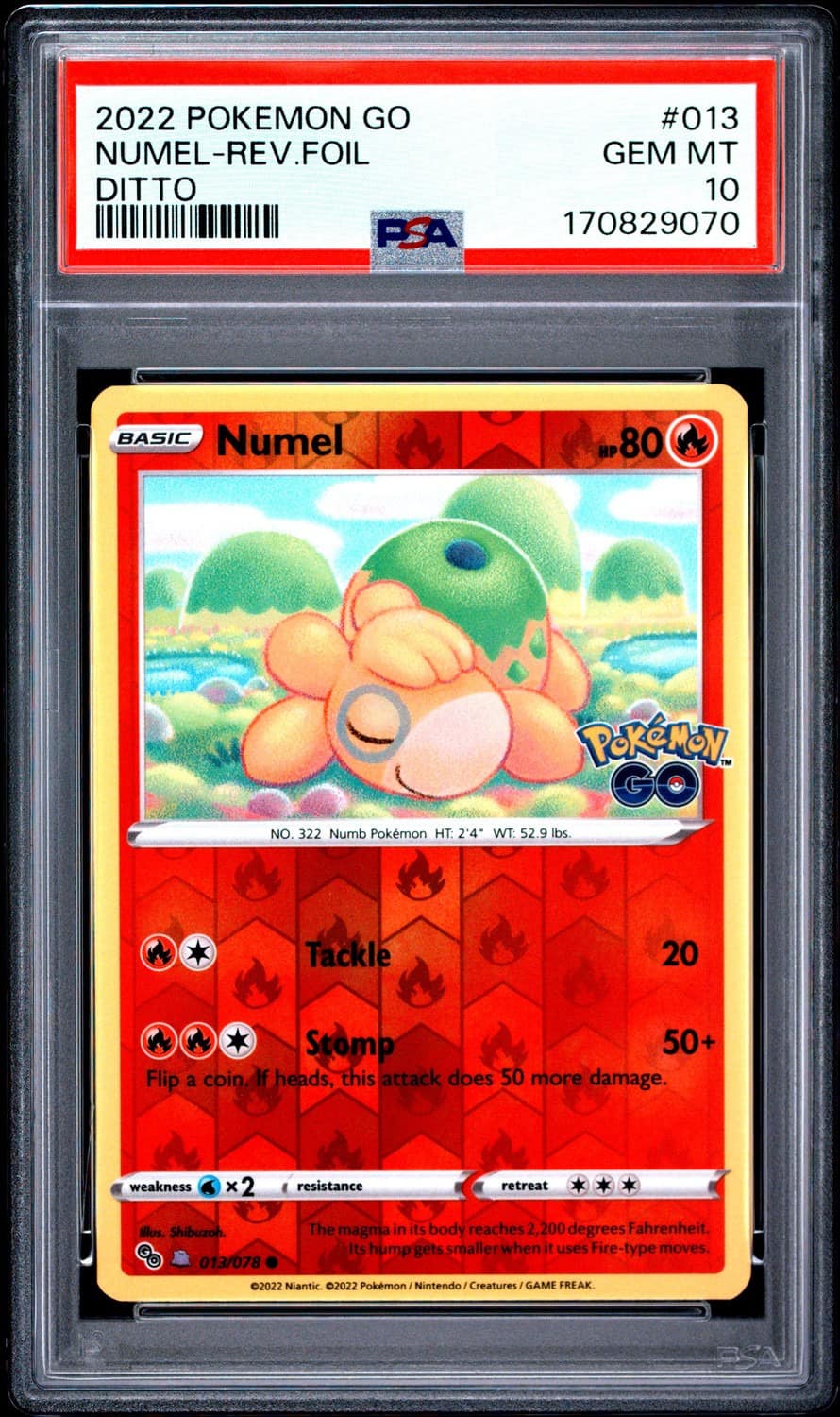 Numel (ditto)