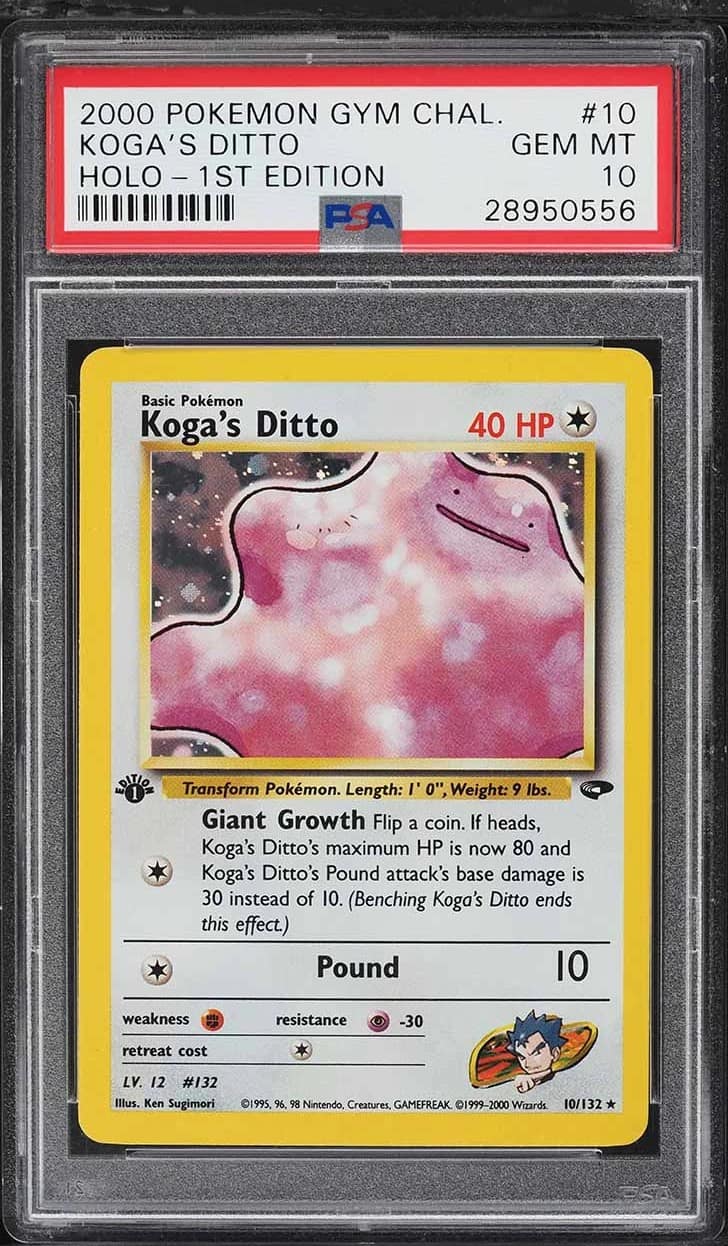 Koga'S Ditto