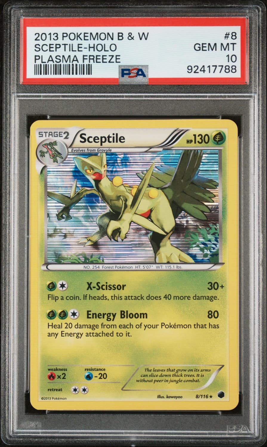 Sceptile