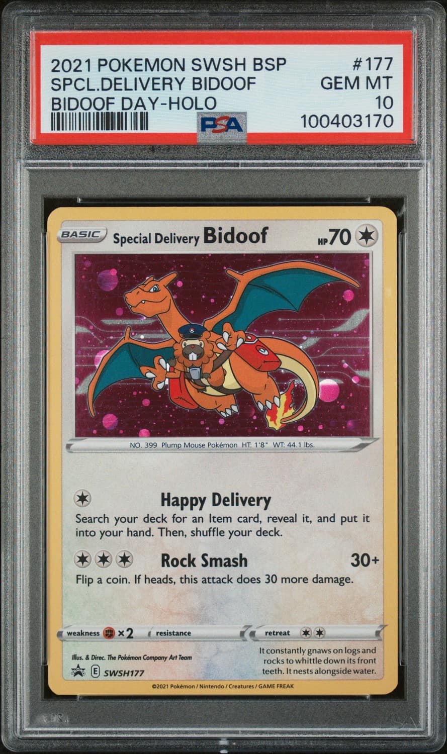 Special Delivery Bidoof