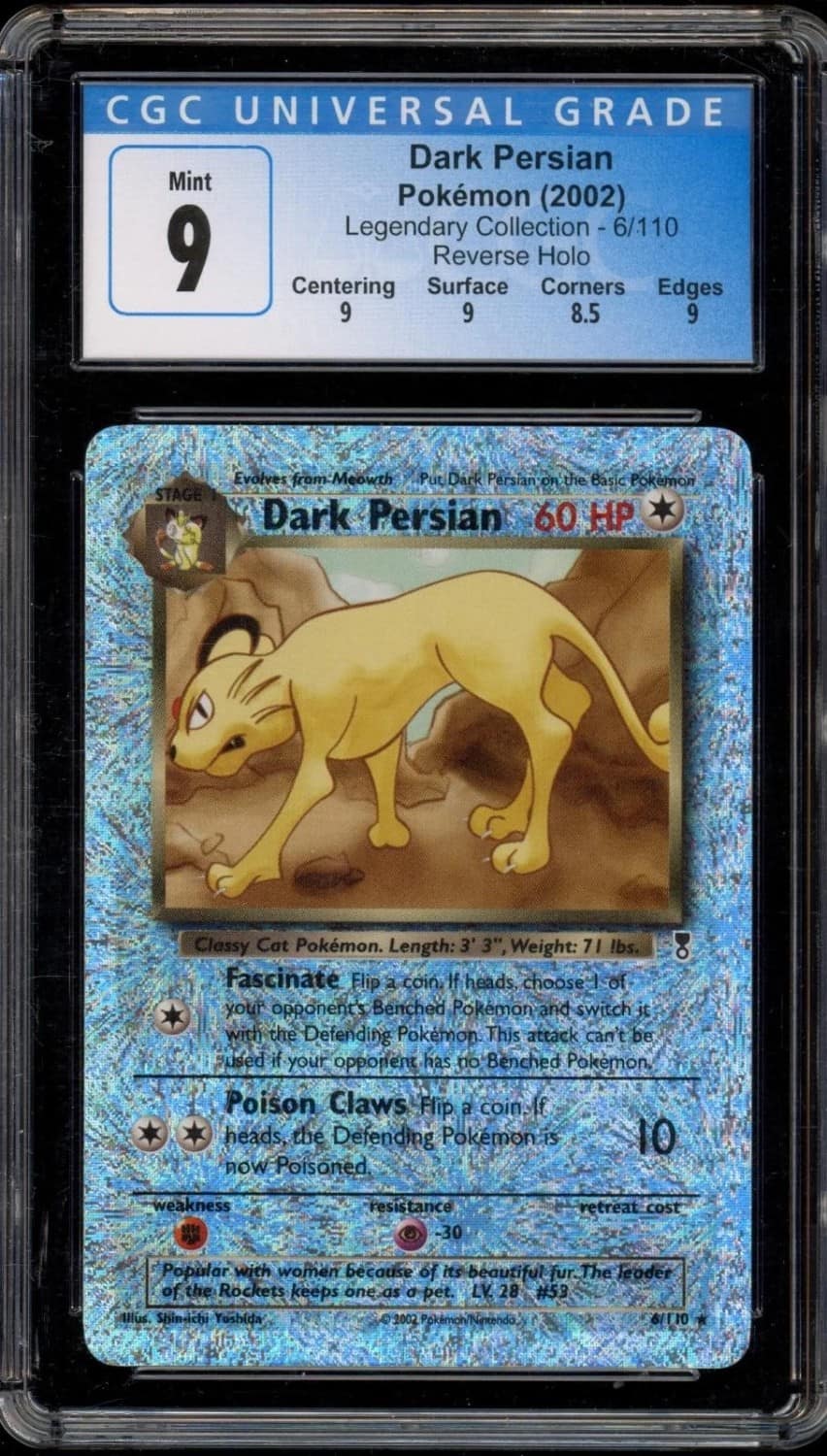 Dark Persian