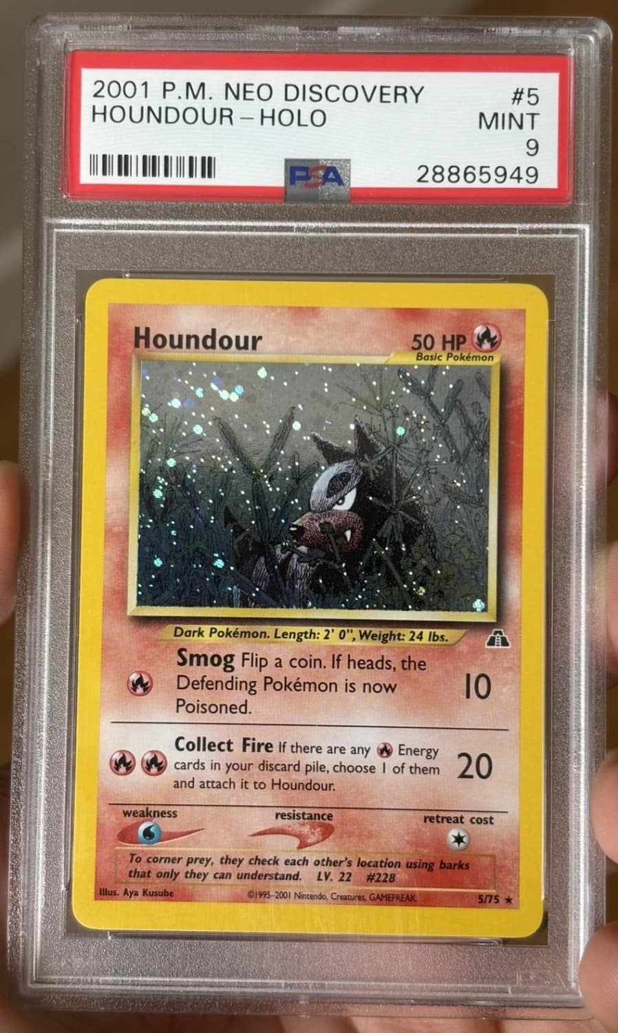 Houndour
