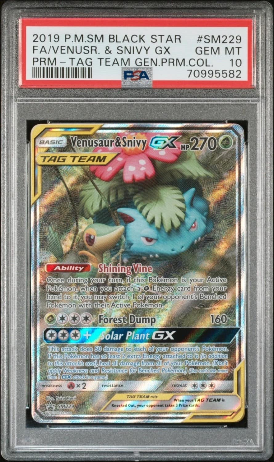 Venusaur & Snivy Gx
