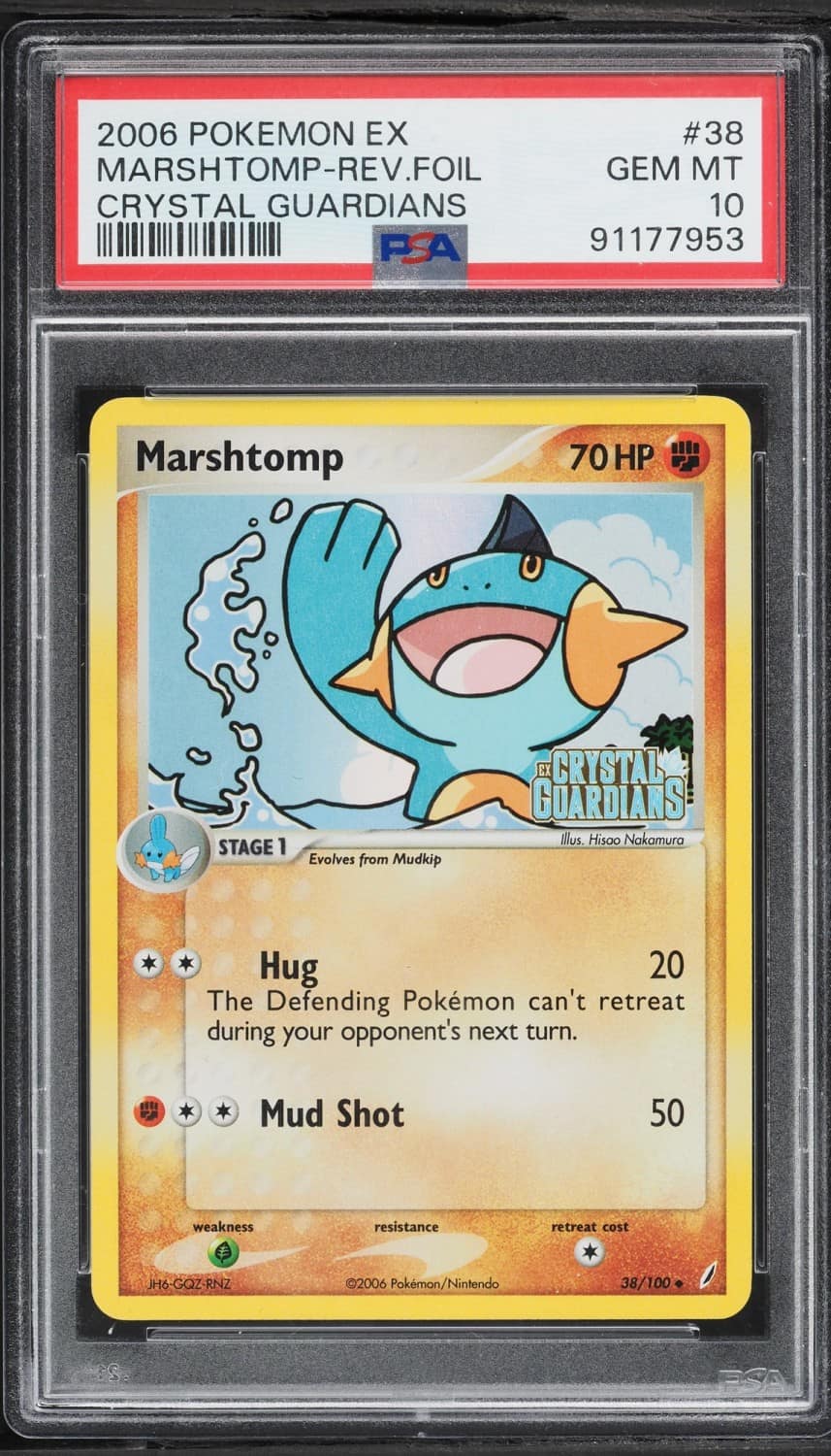 Marshtomp