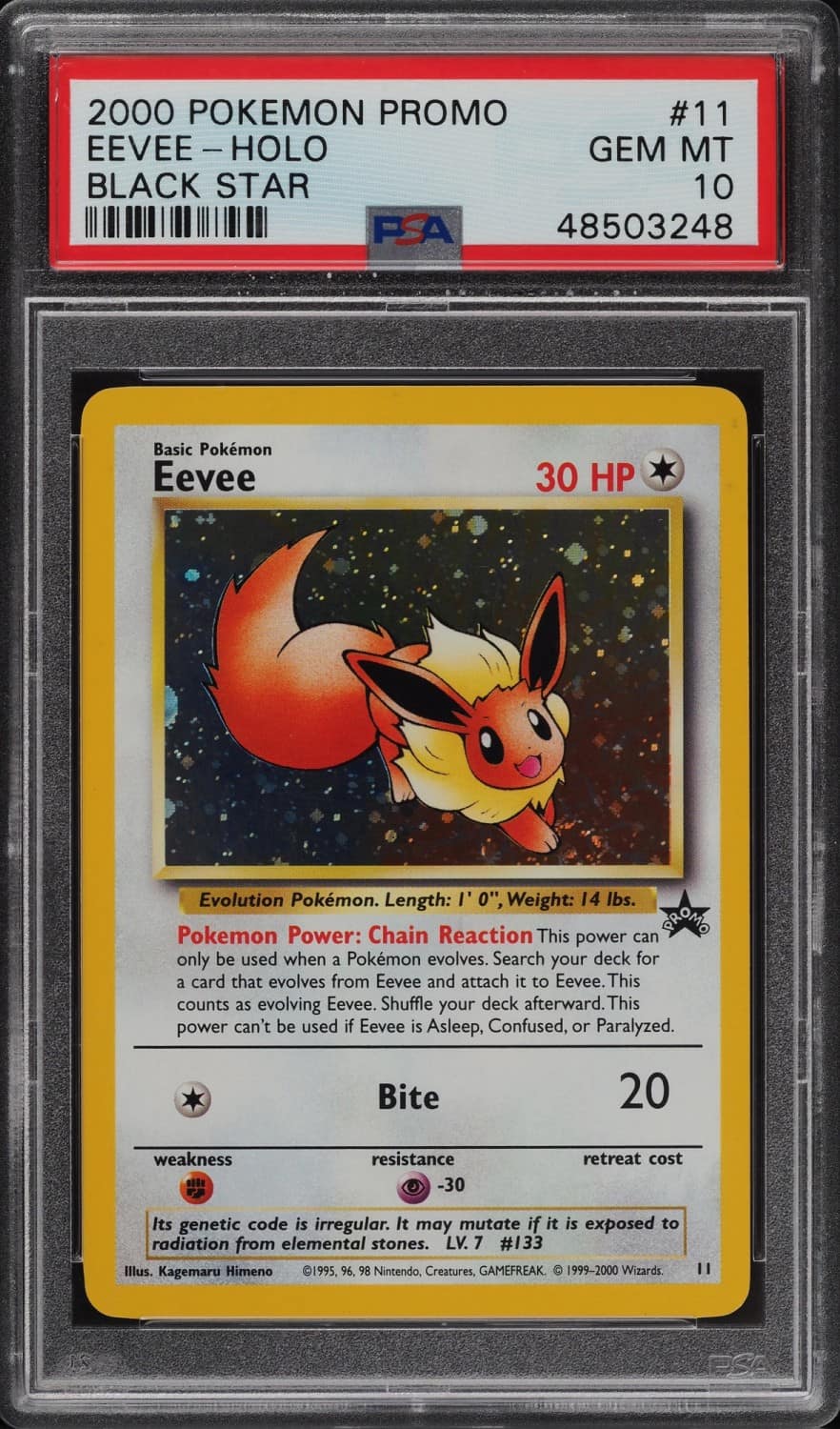 Eevee