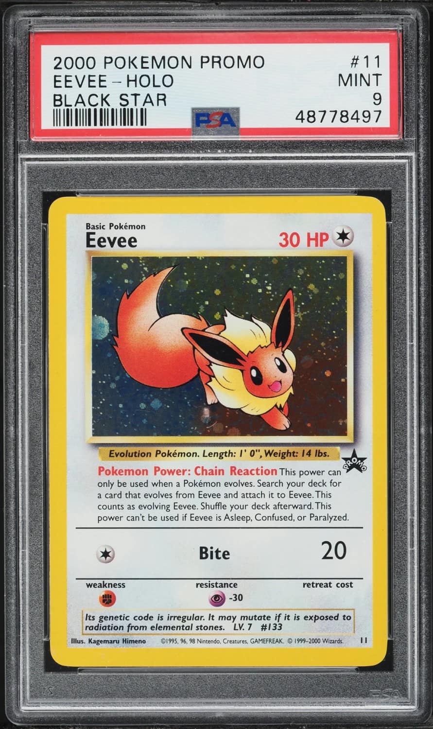 Eevee