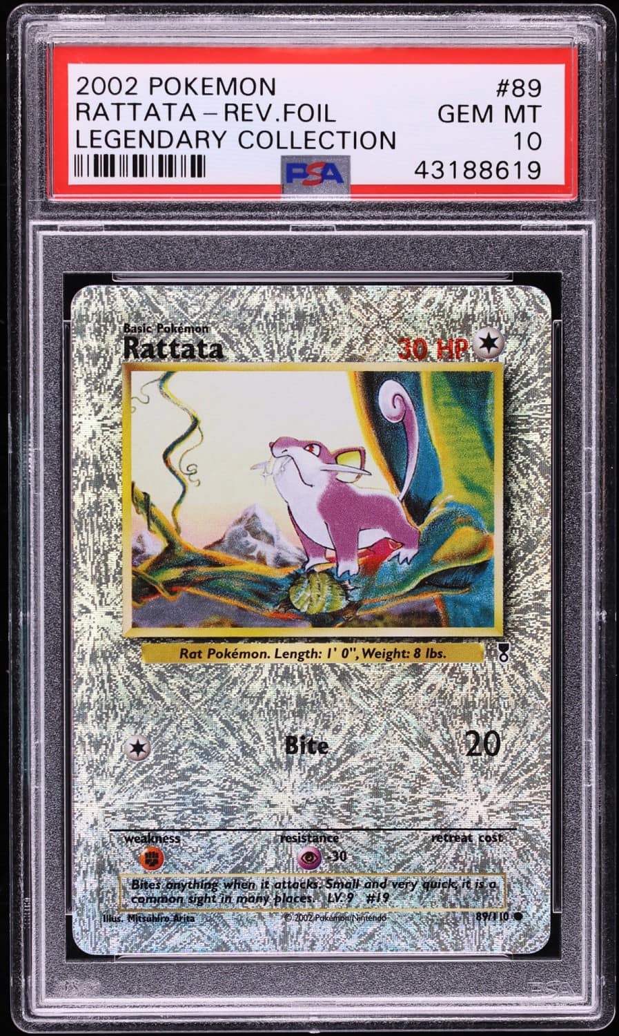 Rattata