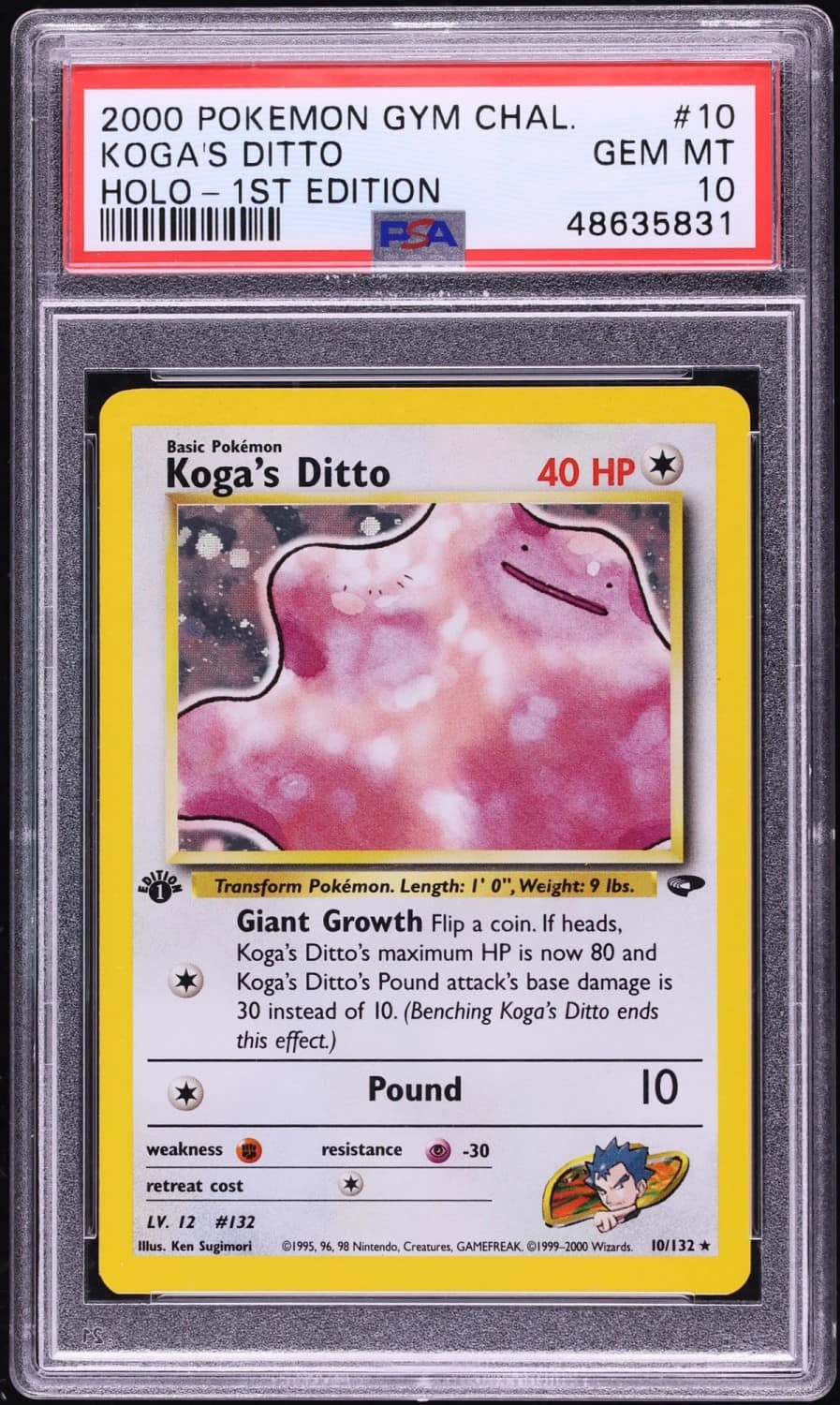 Koga'S Ditto