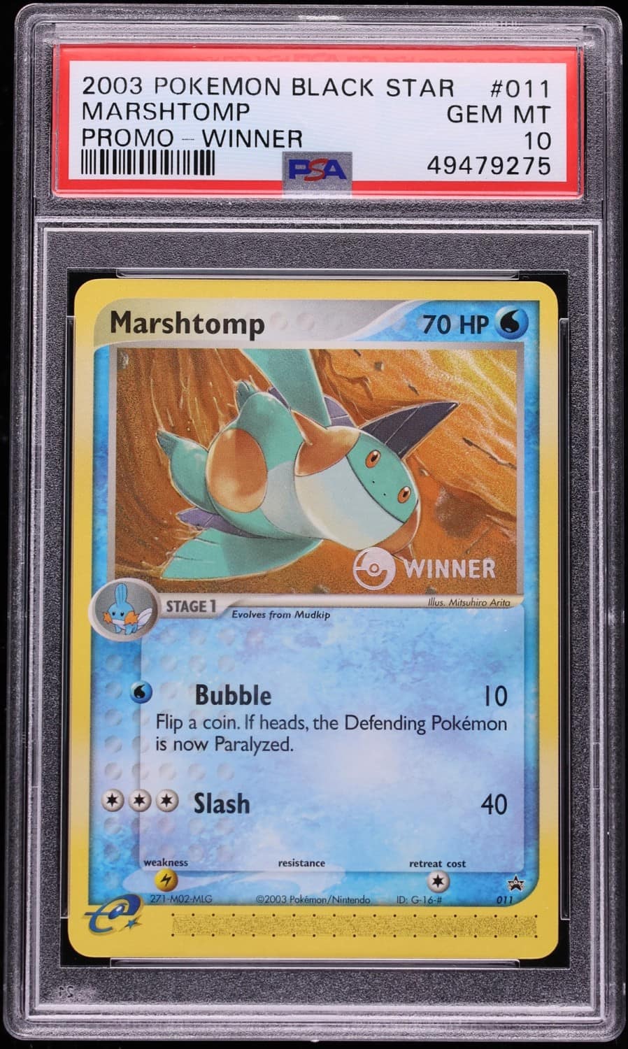Marshtomp