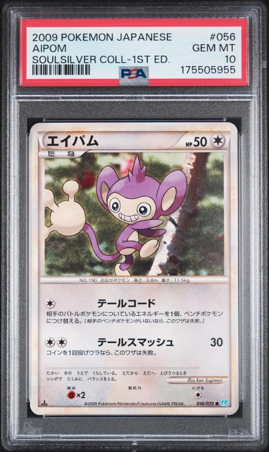 Aipom