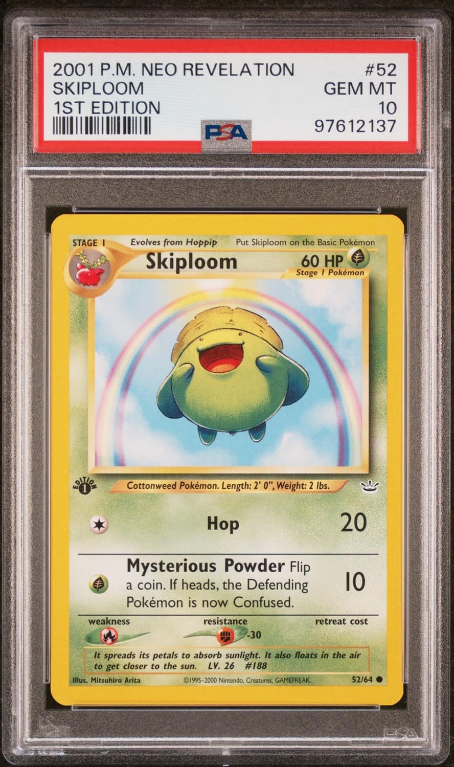 Skiploom