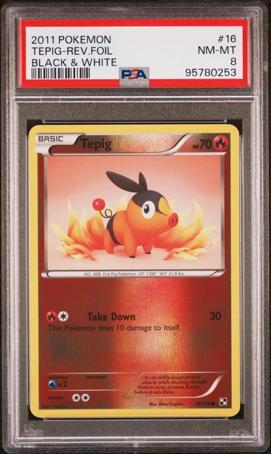 Tepig