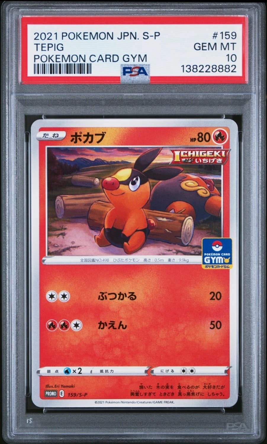 Tepig