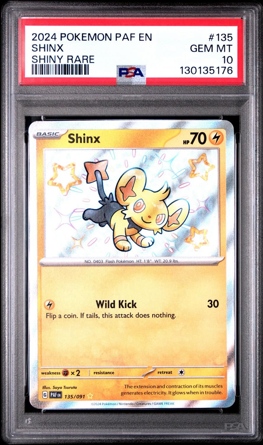 Shinx