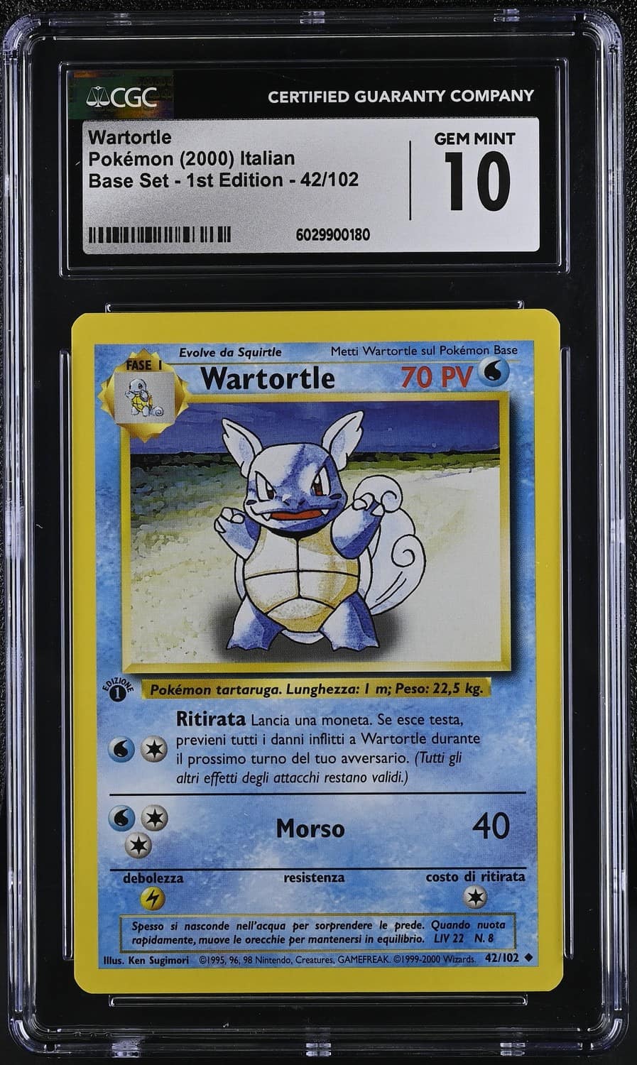 Wartortle