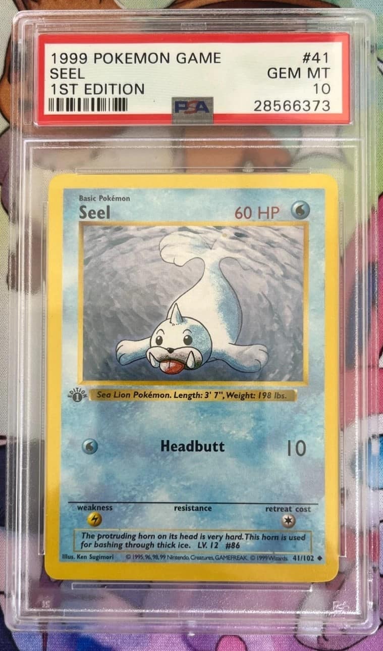 Seel