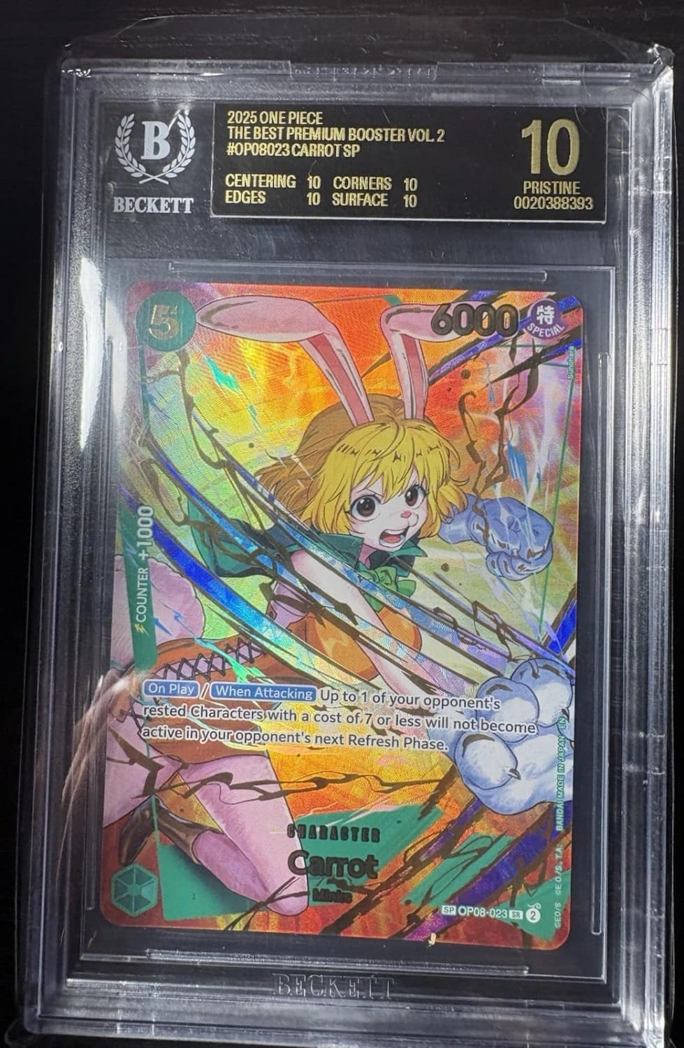 Carrot Sp