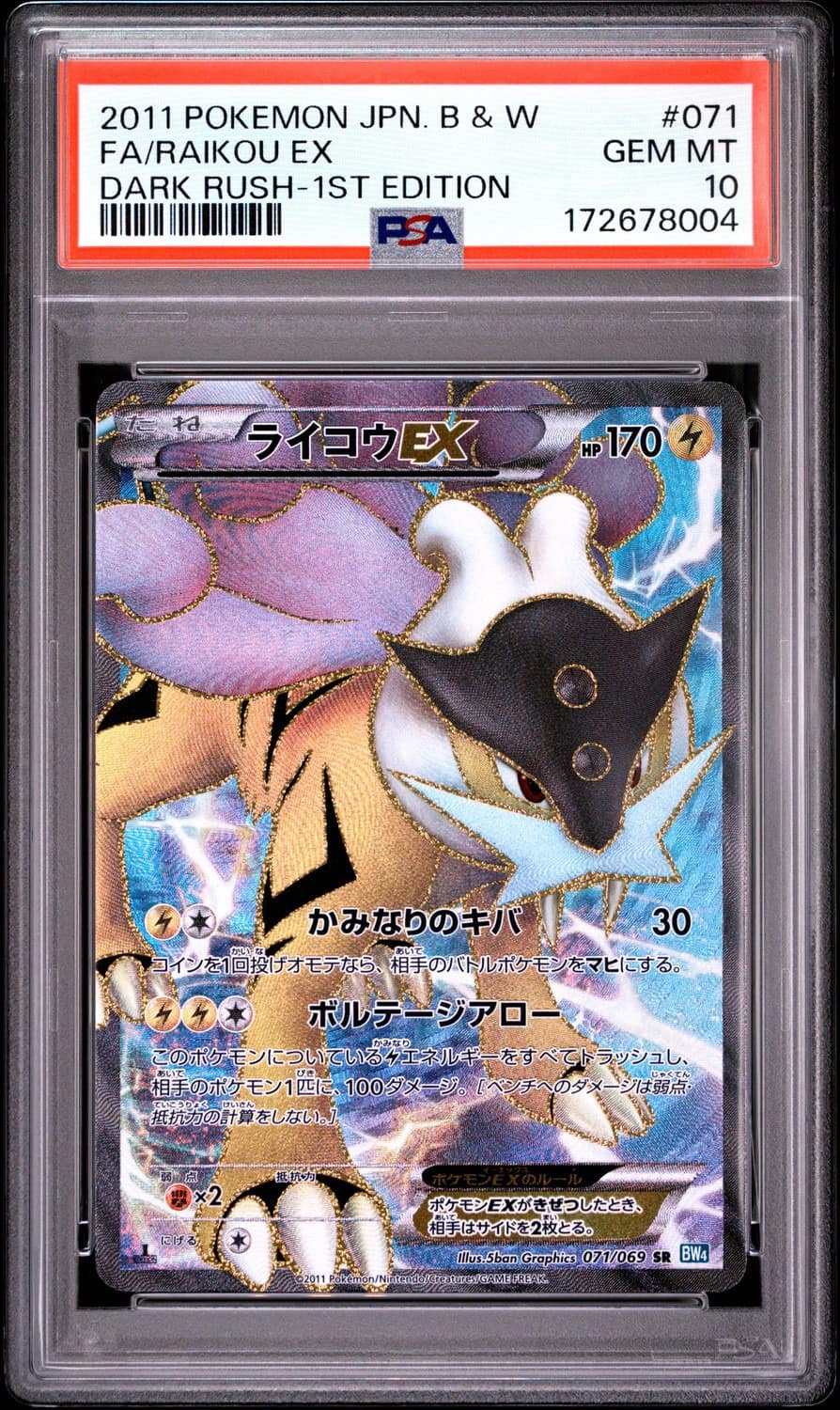 Raikou Ex