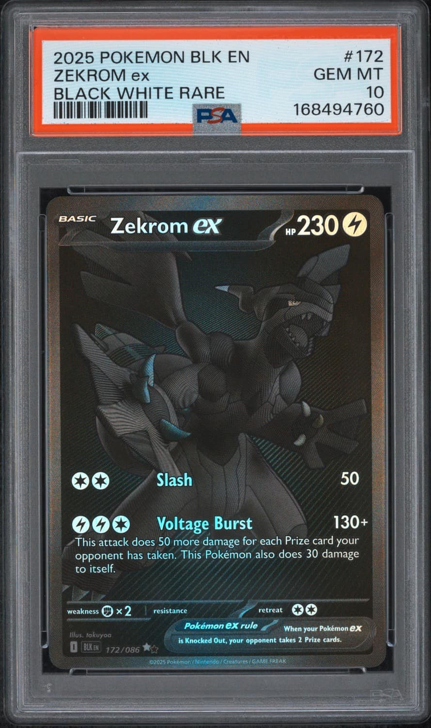 Zekrom Ex