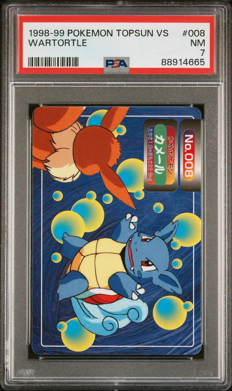 Wartortle