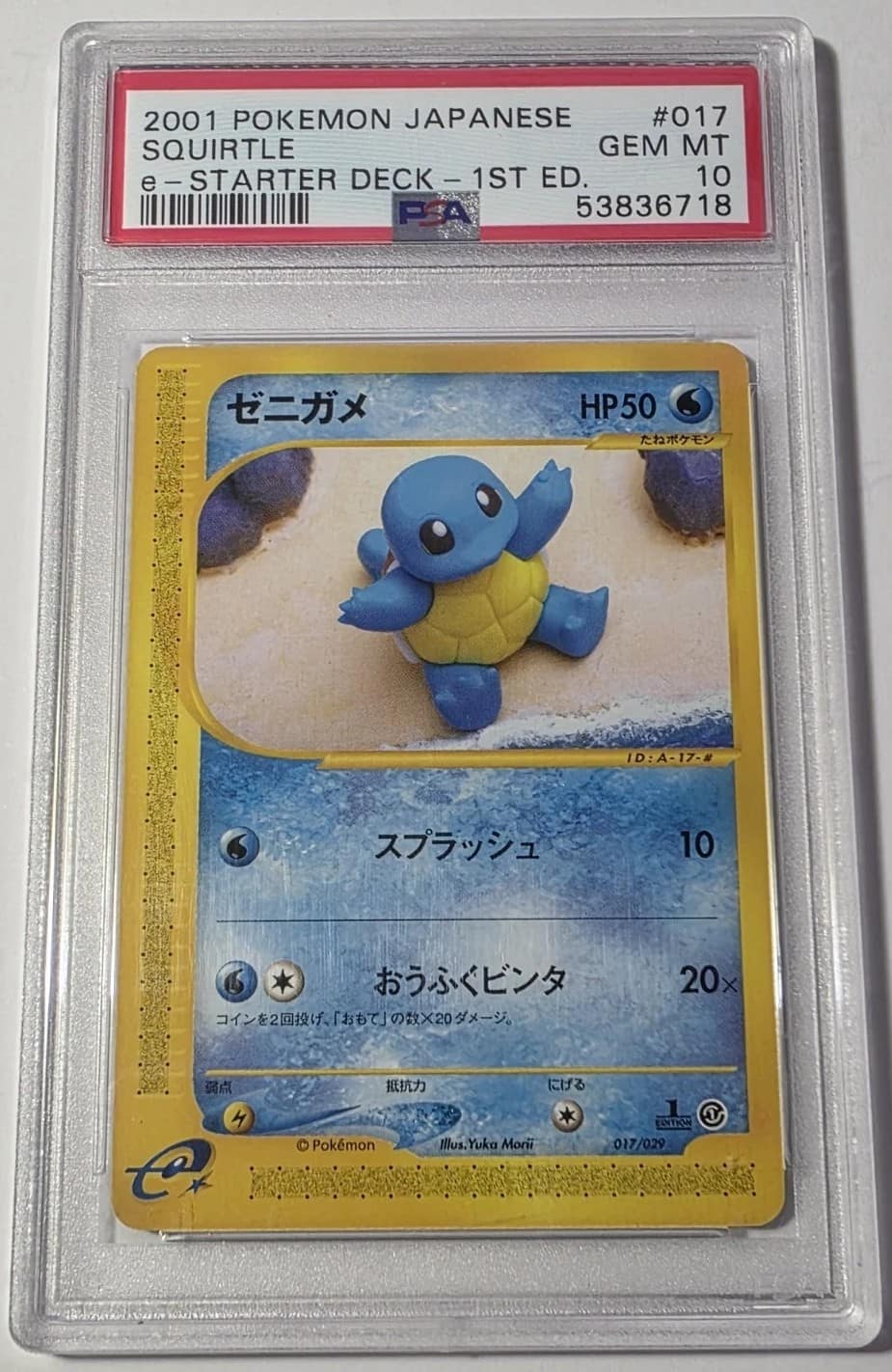 Squirtle