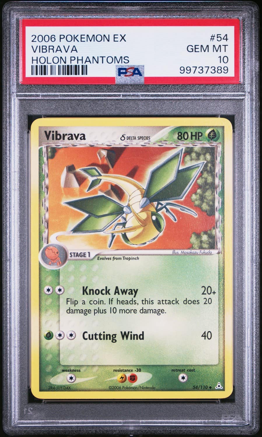 Vibrava δ