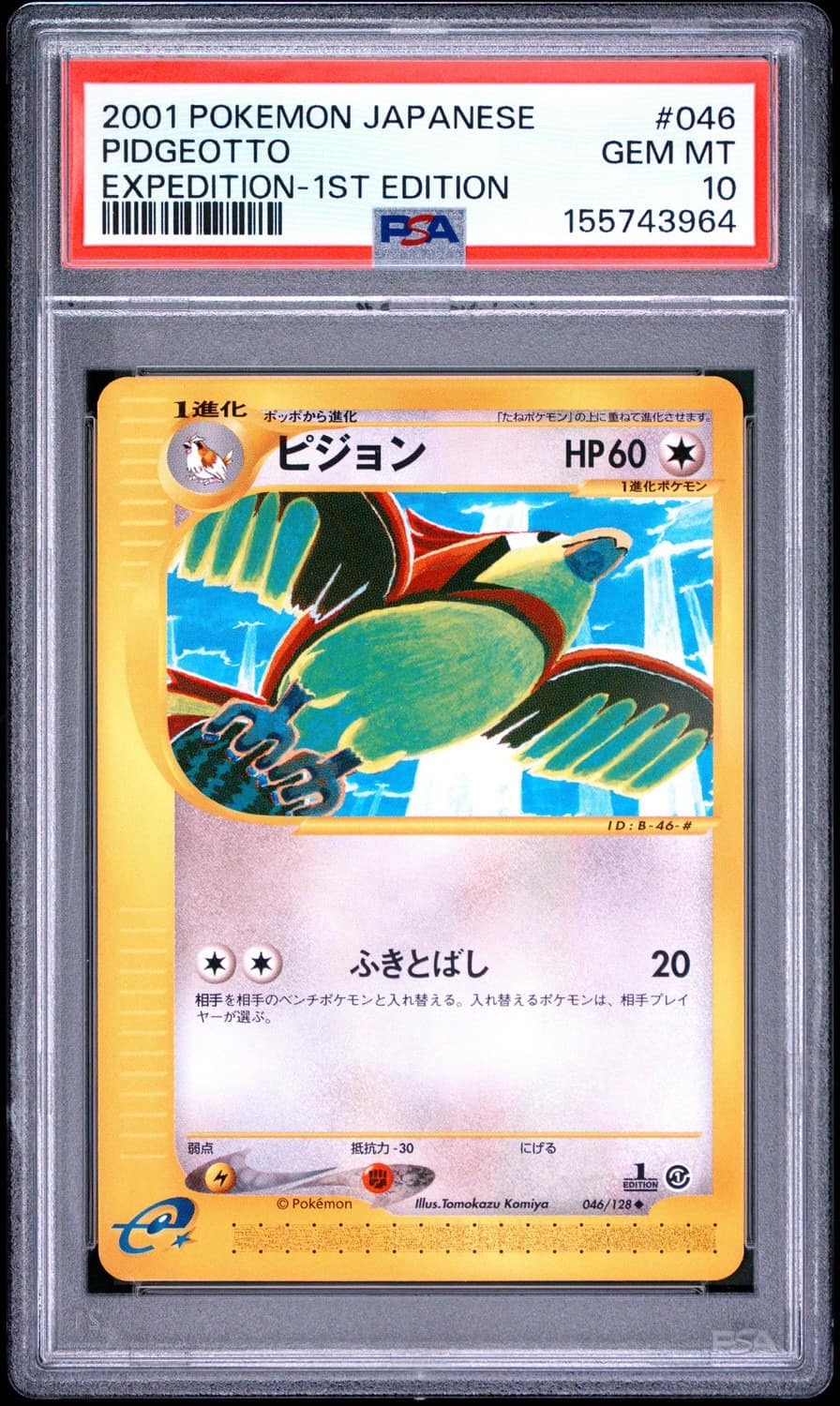 Pidgeotto