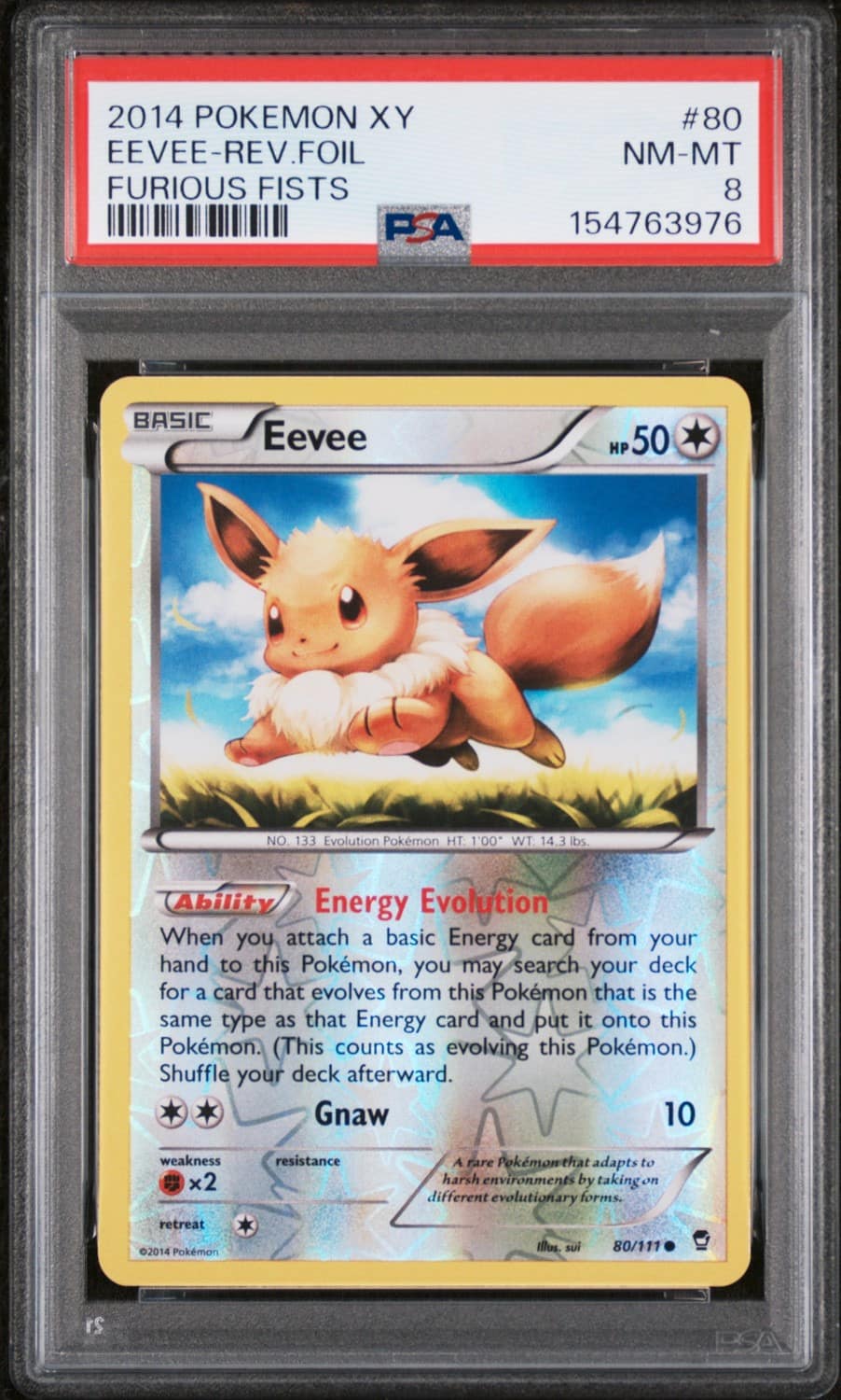 Eevee