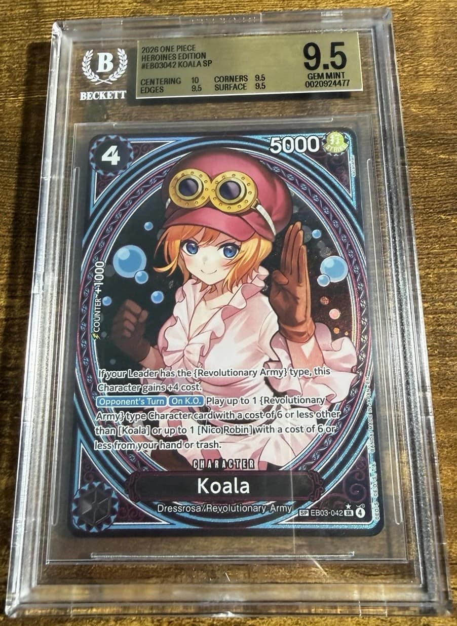 Koala
