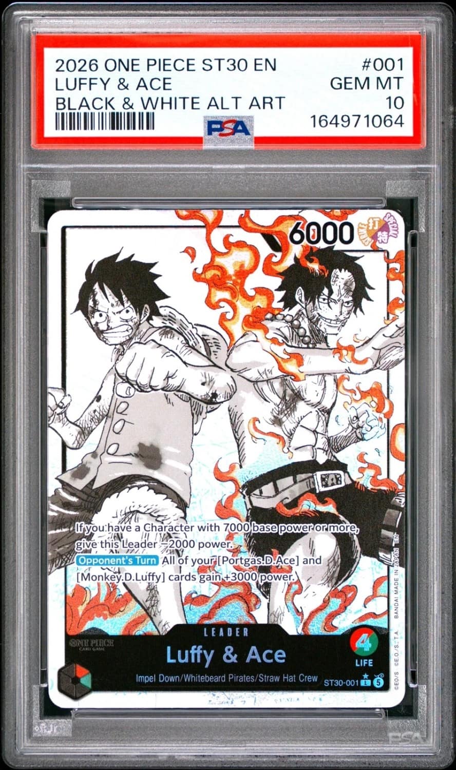 Luffy & Ace