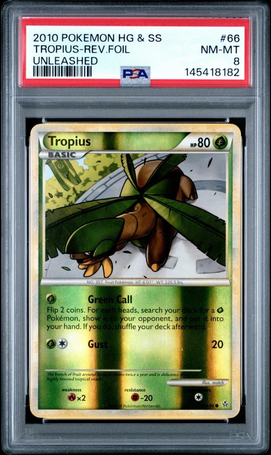 Tropius